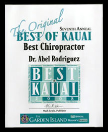 Best Chiropractor 2008